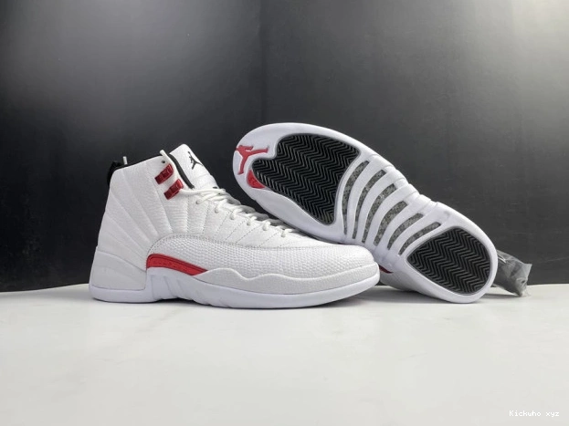 Twist Air Jordan 12 CT8013-106 0522